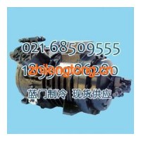 Z30-126Y意大利富士豪活塞壓縮機(jī)